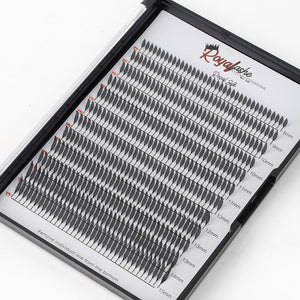 Anime Lash Tray