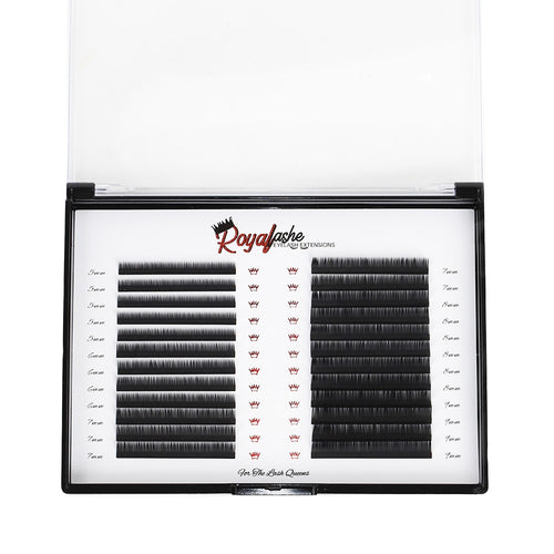 Bottom Lash Trays